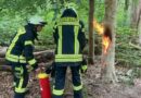 Zweimal Brandmeldeanlage und ein brennender Baum – EinsatzreicheTage für die Stadtfeuerwehr Sehnde
